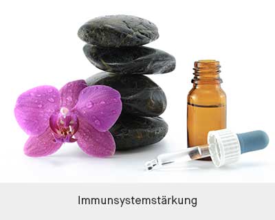 immunsystemstärkung